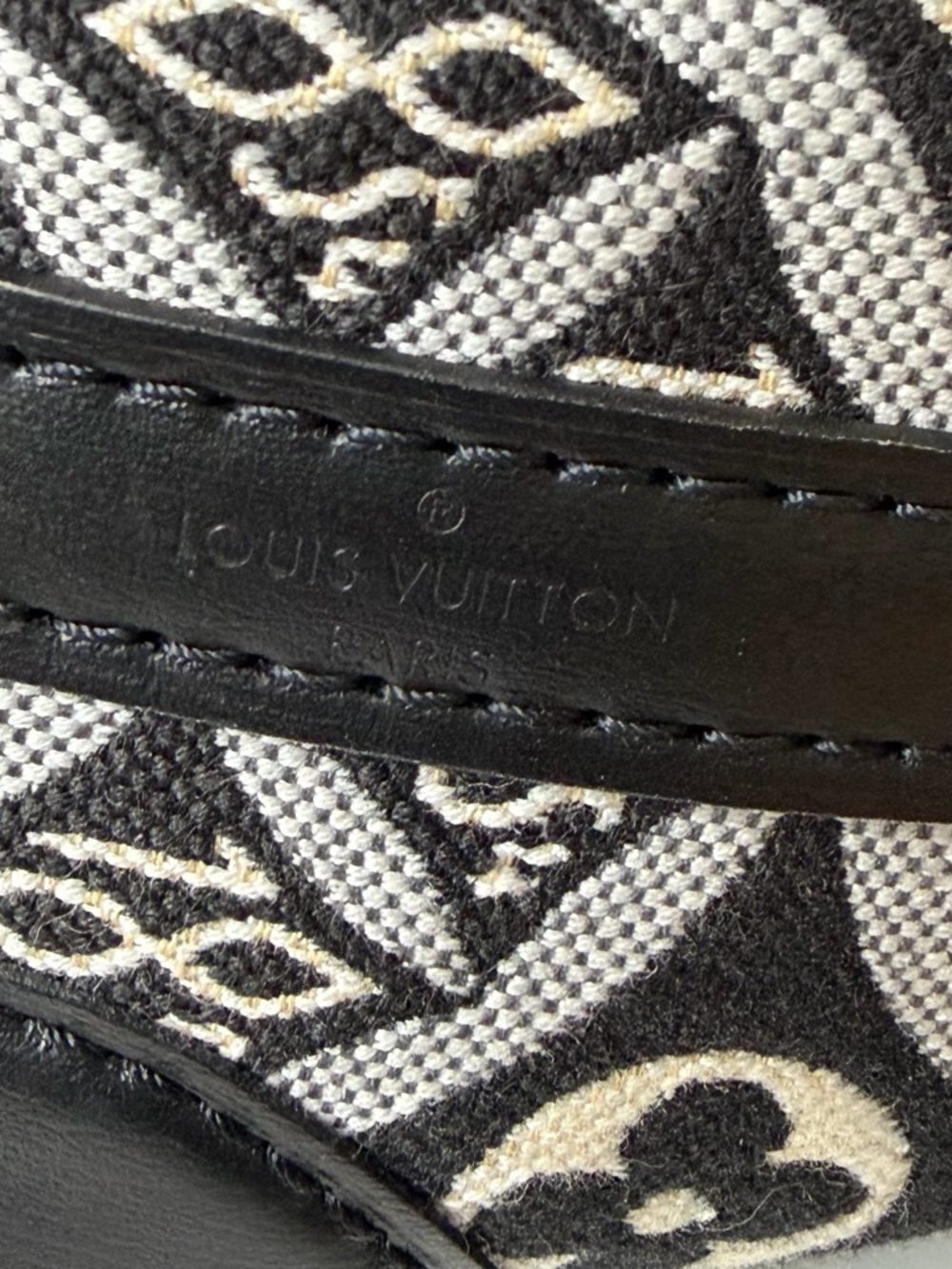 Louis Vuitton Noe Mini Since 1854 Jacquard Bucket Crossbody Bag - Picture 9 of 13